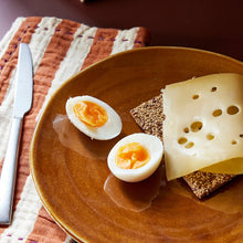 Load image into Gallery viewer, HKliving Japanese Dinner Plate Brown