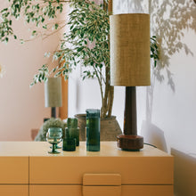 Load image into Gallery viewer, HKLIVING Sunlit Carafe Teal