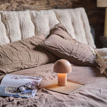 Load image into Gallery viewer, Abigail Ahern Alton LED Lamp