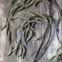 Load image into Gallery viewer, Abigail Artificial Catkin Stem