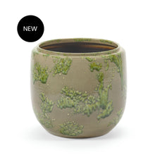 Load image into Gallery viewer, Costa Plant Pot Mystique Green
