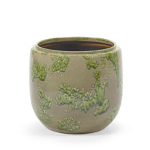 Load image into Gallery viewer, Costa Plant Pot Mystique Green