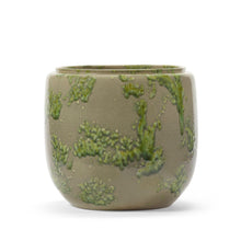Load image into Gallery viewer, Costa Plant Pot Mystique Green