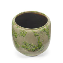 Load image into Gallery viewer, Costa Plant Pot Mystique Green