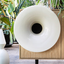 Load image into Gallery viewer, Caruso Audio Cabinet - 2 Sizes