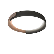 Load image into Gallery viewer, Dala Ceiling Light
