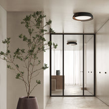 Load image into Gallery viewer, Dala Ceiling Light