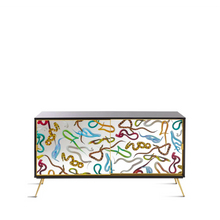 Load image into Gallery viewer, Toiletpaper Snakes Cabinet