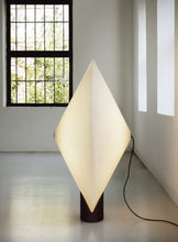 Load image into Gallery viewer, Rificolona 120 Floor Lamp