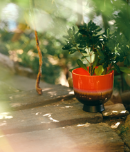 Load image into Gallery viewer, HKLIVING Retro Flower Pot - Cherry Red