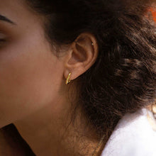 Load image into Gallery viewer, Bora Oval Hoops