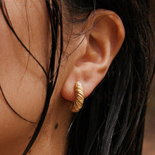 Load image into Gallery viewer, Zeta Earring