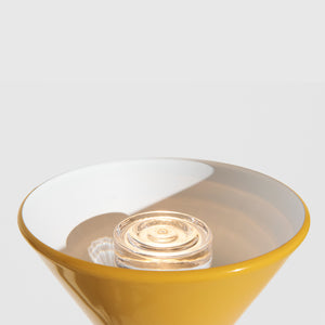 PYL Floor Lamp