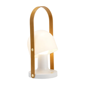FollowMe Plus Portable Light