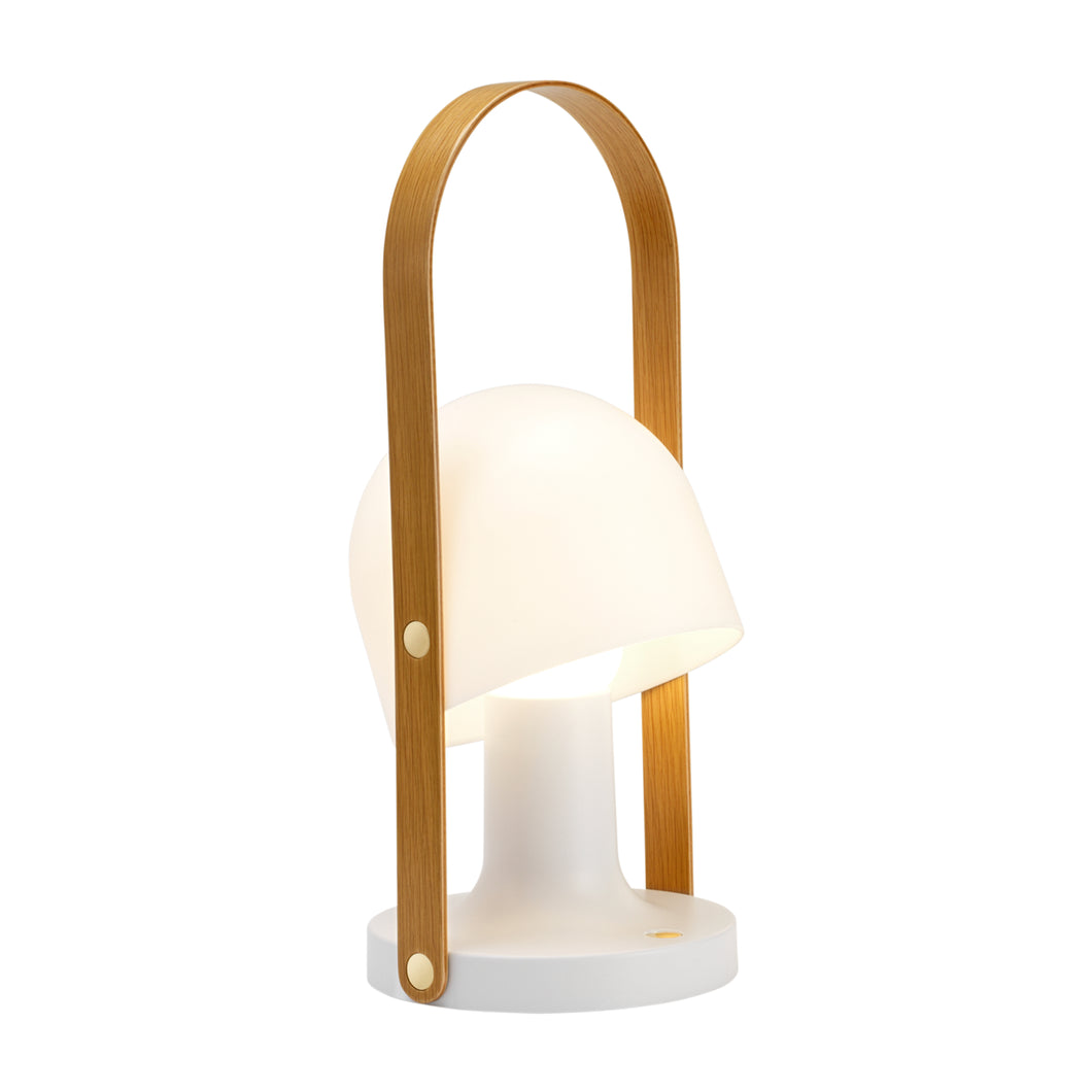 FollowMe Plus Portable Light