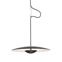 Load image into Gallery viewer, Ginger Wood Pendant Light