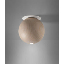 Load image into Gallery viewer, Biglia Ceiling Light