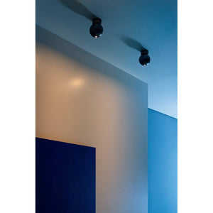 Biglia Ceiling Light