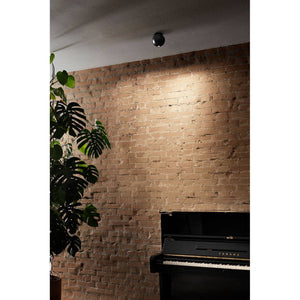 Biglia Ceiling Light