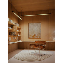 Load image into Gallery viewer, Fris Pendant Light
