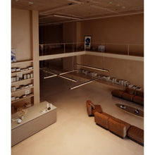 Load image into Gallery viewer, Fris Pendant Light
