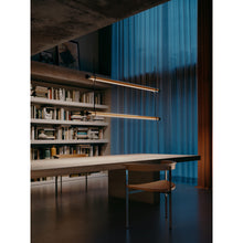 Load image into Gallery viewer, Double Fris Pendant Light