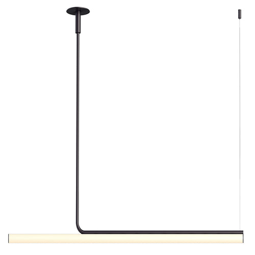 Ambrosia Extended Ceiling Light