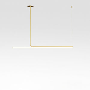 Ambrosia Extended Ceiling Light