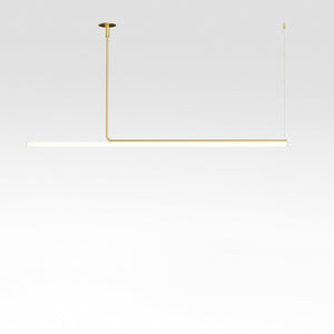 Ambrosia Extended Ceiling Light