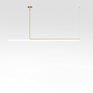 Ambrosia Extended Ceiling Light 60