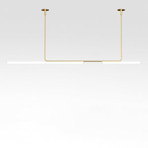 Ambrosia Extended Ceiling Light