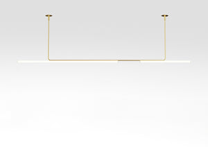 Ambrosia Extended Ceiling Light