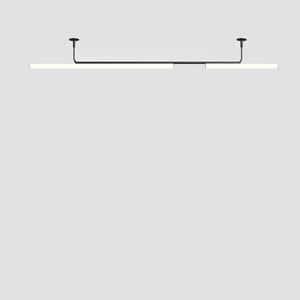 Ambrosia Ceiling Light