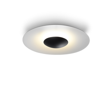 Load image into Gallery viewer, Ginger Outdoor Ceiling Light