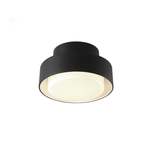 Plaff-On Indoor & Outdoor Ceiling Light