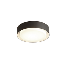 Load image into Gallery viewer, Plaff-On Indoor &amp; Outdoor Ceiling Light