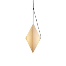 Load image into Gallery viewer, Rificolona Suspension Light