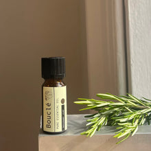 Load image into Gallery viewer, Rosemary Leaf Aromatherapy Essential Oil