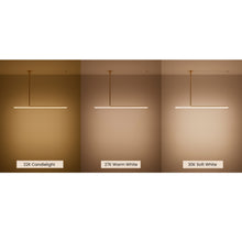 Load image into Gallery viewer, Ambrosia Extended Ceiling Light