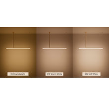 Load image into Gallery viewer, Ambrosia Extended Ceiling Light 60