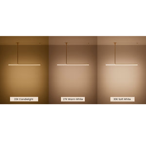 Ambrosia Extended Ceiling Light