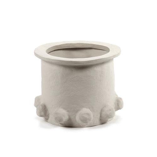 Medium Molly Plant Pot