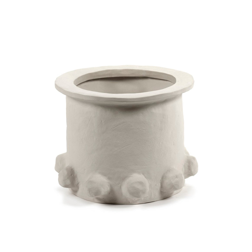 Medium Molly Plant Pot