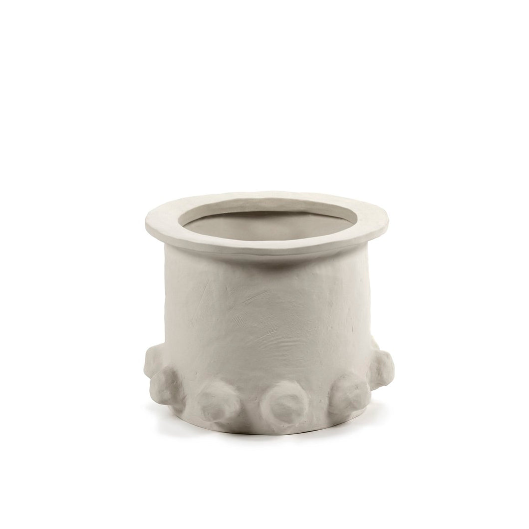 Small Molly Plant Pot