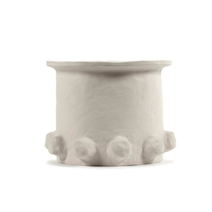 Medium Molly Plant Pot
