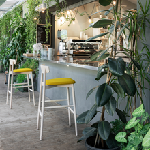Load image into Gallery viewer, Claretta Bar Stool