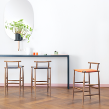 Load image into Gallery viewer, Pelleossa Bar Stool