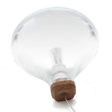 Load image into Gallery viewer, Tidelight Table Lamp