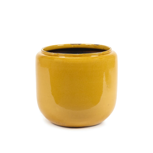 Costa Plant Pot in Honey Colour