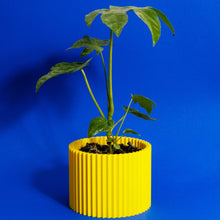 Load image into Gallery viewer, Acid 3D Printed Plant Holder